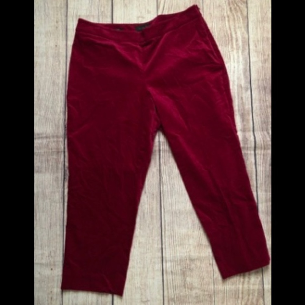 Talbots 16 Curvy Pink Velvet feel dress pants